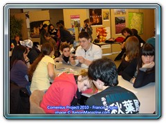 Grupe de lucru