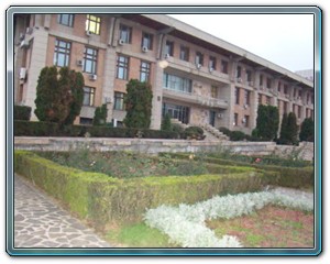DSC08125-400
